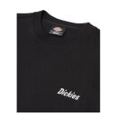 Dickies Bettles T-shirt black