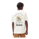 Dickies Bettles T-shirt ecru