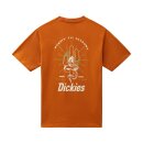 Dickies Bettles T-shirt pumpkin spice