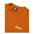 Dickies Bettles T-shirt pumpkin spice