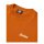 Dickies Bettles T-shirt pumpkin spice