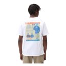 Dickies Success T-shirt white