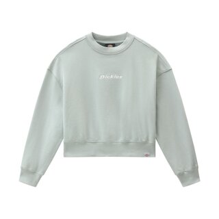 Dickies Loretto Boxy sweatshirt jadeite