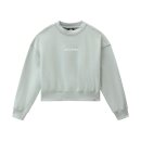 Dickies Loretto Boxy sweatshirt jadeite