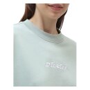 Dickies Loretto Boxy sweatshirt jadeite