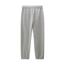 Dickies Mapleton sweatpants grey melange