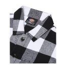 Dickies New Sacramento shirt women black