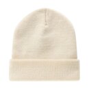 Dickies Gibsland beanie ecru
