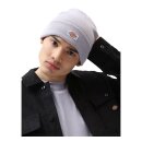 Dickies Gibsland beanie lilac grey