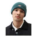 Dickies Gibsland beanie ponderosa pine