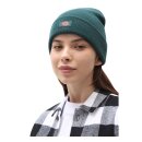 Dickies Gibsland beanie ponderosa pine