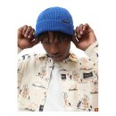 Dickies Woodworth beanie true blue