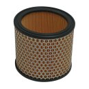 MIW, replacement air filter P5109