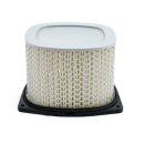 MIW, replacement air filter S3191