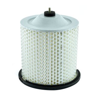 MIW, replacement air filter S3195
