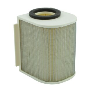 MIW, replacement air filter Y4242