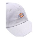 Dickies Hardwick cap lilac grey