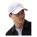Dickies Hardwick cap lilac grey