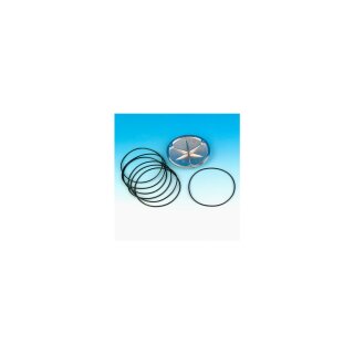 CLUTCH DERBY COVER O-RING