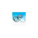 CLUTCH DERBY COVER O-RING