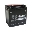 Maintance Free Series CIX30L-BS Batterie Dry Battery with...