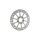 Steve Brake Rotor Stainless Steel 10" Polished Front Rear