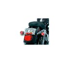 Lighted Curved Laydown License Plate with Accent Taillights