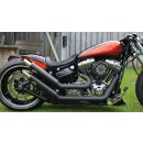 Upswept 2-2 Headers Chrome