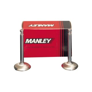 Race Master Intake Valve