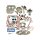 OE+ Hydraulic Cam Chain Tensioner Conversion Kit for OEM Splined Chain Drive Cams Hydraulic Cam Chain Tensioner Conversion Kit