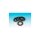 OIL SEAL ENGINE CASE LEFT