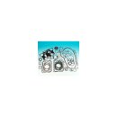 XL MOTOR GASKET KIT