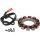 Stator 32 AMP Unmolded Stator