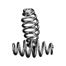 5 Inch Barrel Seat Spring