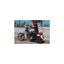 Burly, Sissy Bar, One-Piece , Early XL, Tall, Incl. Pad,...