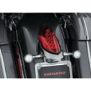 Custom Rear Turn Signal and License Plate Mount Chrome