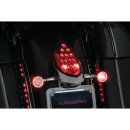Custom Rear Turn Signal and License Plate Mount Chrome
