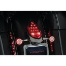 Custom Rear Turn Signal and License Plate Mount Chrome