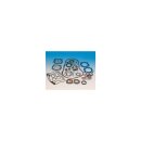XL MOTOR GASKET KIT