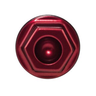 PM VINTAGE 4-P CALIPER BOLT RED