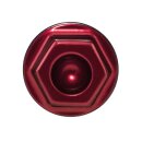 PM, center bolt for Vintage 4-p calipers. Red