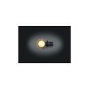Atto LED Turn Signal Black Clear LED