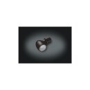 Atto LED Turn Signal Black Clear LED