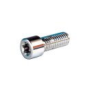 Torx Sockethead Screw Pack Chrome Grade 8 Torx 1/2"