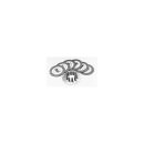 Series K Carbon Fiber Clutch Kit Kit consists of 6...
