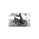 Sissy Bar, One-Piece , Tall, Incl. Pad, 8.25"x12.5"x24.75", Black Sissy Bar