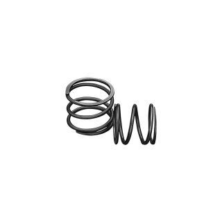 CLUTCH SPRING Clutch Spring