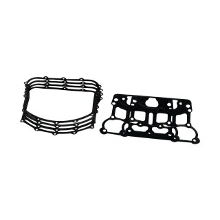 Gasket Set For 696970 Gasket Set