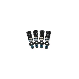 600 RACE SPRING KIT TIT RET