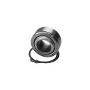 Swingarm Bearing Pivot bearing and retaining Ring